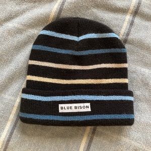 BlueBison beanie